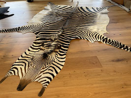 Zebra Hartmann Fell aus Namibia #17 Select