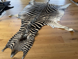 Zebra Burchell Fell aus Namibia #4 Select