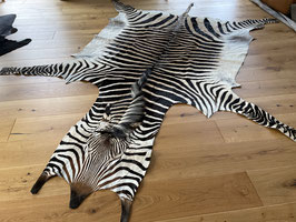 Zebra Hartmann Fell aus Namibia #11 Select