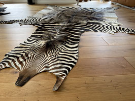 Zebra Hartmann Fell aus Namibia #10 Select