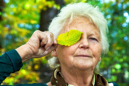 Landesgartenschau Bad Nenndorf