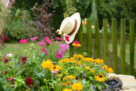 Landesgartenschau Bad Nenndorf