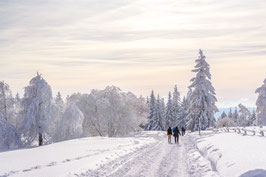Harz-Rundfahrt & Windbeutelgenuss