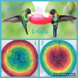 Kolibri 1 oder 2