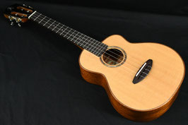New/aNueNue aNN-UT100 Tenor