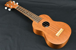 NEW/Famous FS-1G Soprano