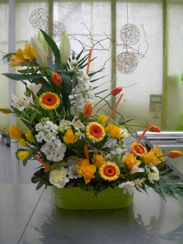 Composition jaune / blanc / orange