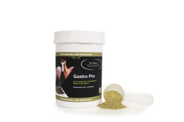 Dr. Henle´s Gastro Pro