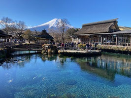【キャンセル待ち】2025年7月31日　富士山～西湖・河口湖バス研修