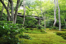 ガイディング・センスを磨く研修「嵯峨野・嵐山」