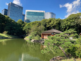 2025年11月25日 都内新旧名所バス研修