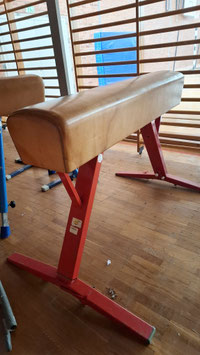 vintage Turnpferd Springbock Leder 2707-02