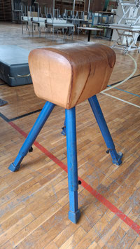 alter Turnbock Springbock DDR Leder (2 zur Auswahl)