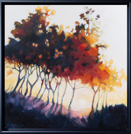 Herbstliche Serenade