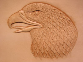 Tiere Relief Adler