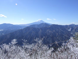 第7回　滝子山　標高差のあるロングコースに慣れる　日帰り