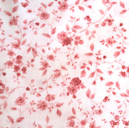 pale pink rose tendrils