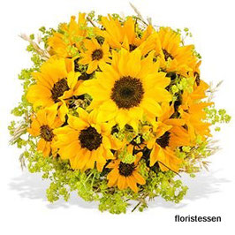 - 215 - Sonnenblumen