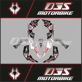 KIT DECO CAN-AM RENEGADE DEPUIS 2013 - 2021