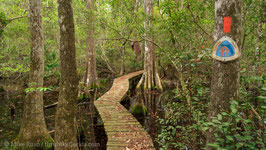 Boardwalk 2