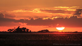 Kissimmee Sunset