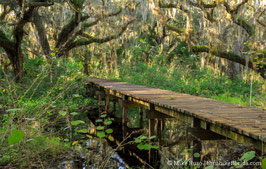 Boardwalk