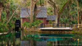 Juniper Springs