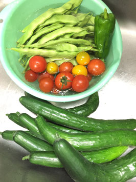 【会員さま限定】おまかせ野菜セット
