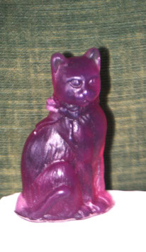 Gato, color de cochinillas // Cat, colour of cochinillas  // Katze, Farbe v Schildblattläusen