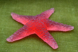 Estrella del mar  /  Seastar  /  Seestern