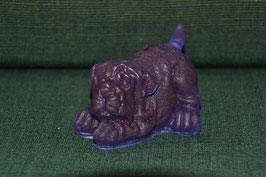 Cachorro Bulldog   //   Bulldog puppy   //   Bulldogwelpe