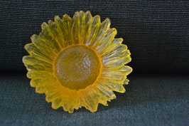 Flor  /  Flower  /  Blume