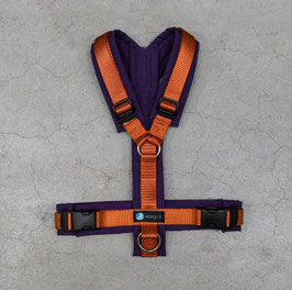 Anny-X Sonderfarbe Pflaume