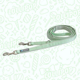 Anny-X Führleine Classic Bolt