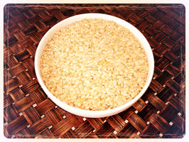 【予約販売（令和６年１０月収穫）】渓流水のおこめ　玄米