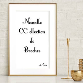 Collection de Brochesstyle