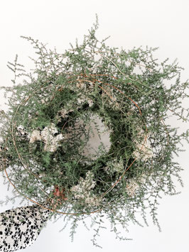 Winterkrans Asparagus