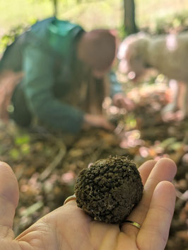 BIO - Trüffel "Burgunder"