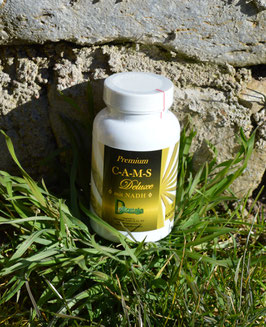 Premium C-A-M-S Deluxe mit NADH