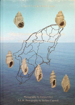 Carlo Chirli & Ulrich Linse: The Pleistocene Marine Gastropods of Rhodes Island (Greece)