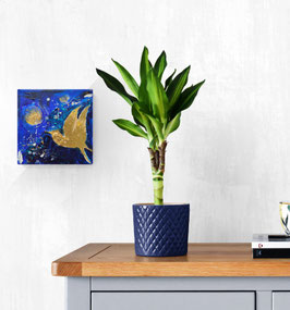 Les oiseaux de soleil 1