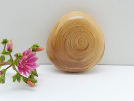 Handschmeichler aus Holz - Fichtenast