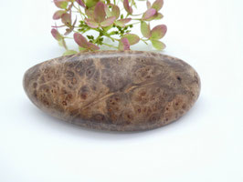 Haarspange aus Ahornmaser & kleine Klammer