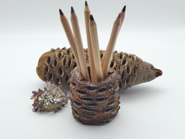 Stiftebecher aus einem Banksiazapfen