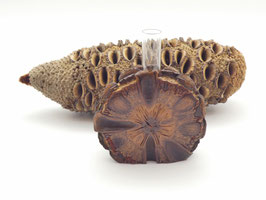 Vase aus einem Banksia-Zapfen