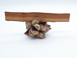 Lesezeichen aus Holz - Apfelbaum