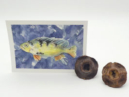 2 Kartenhalter aus Eukalyptuszapfen