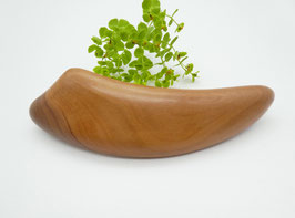 Haarspange aus Apfelbaum & große Klammer