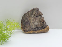 Handschmeichler aus Eukalyptusholz - Geschenkidee für Australienfans