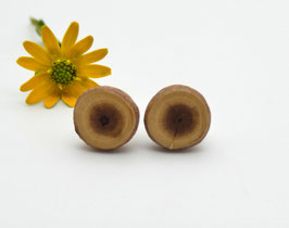 Ohrstecker aus einem Eibenholzast, 8 mm